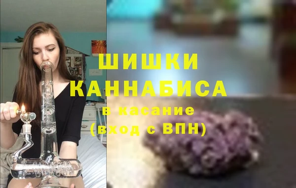 винт Горняк