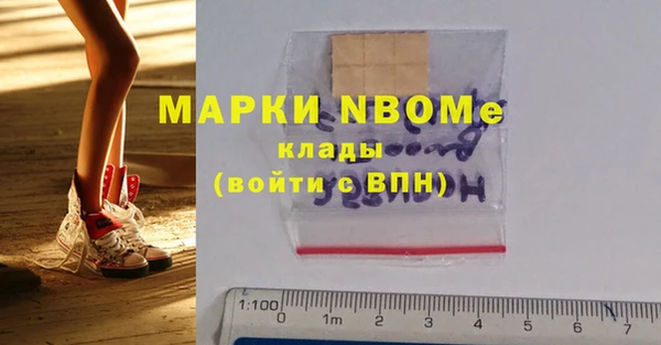 мдпв Горнозаводск
