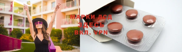 мдпв Горнозаводск