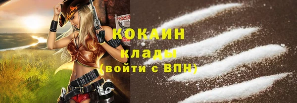 мдпв Горнозаводск
