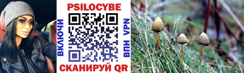Псилоцибиновые грибы прущие грибы Купить закладки Артёмовск